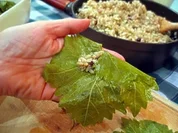 Gefüllte Weinblätter mit Hackfleisch - Rezept