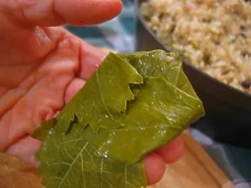 Gefüllte Weinblätter mit Hackfleisch - Rezept