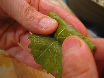 Gefüllte Weinblätter mit Hackfleisch - Rezept