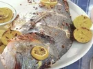 fisch goldbrasse mit koriander und zitrone - Rezept