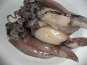 Gebratene Sepia (Tintenfisch) auf scharzen Bandnudeln mit Tomatensoße - Rezept