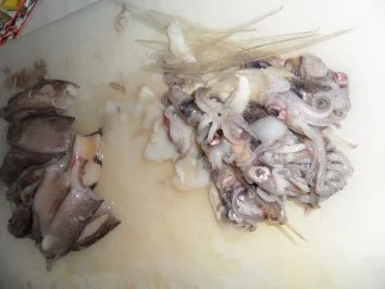 Gebratene Sepia (Tintenfisch) auf scharzen Bandnudeln mit Tomatensoße - Rezept - Bild Nr. 3