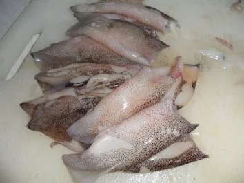 Gebratene Sepia (Tintenfisch) auf scharzen Bandnudeln mit Tomatensoße - Rezept - Bild Nr. 4