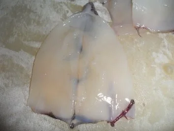 Gebratene Sepia (Tintenfisch) auf scharzen Bandnudeln mit Tomatensoße - Rezept - Bild Nr. 5