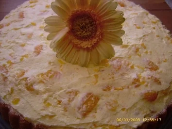 Schüttelkuchen - Rezept - Bild Nr. 10