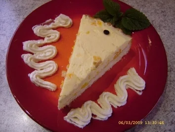 Schüttelkuchen - Rezept - Bild Nr. 14