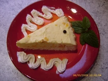 Schüttelkuchen - Rezept - Bild Nr. 15