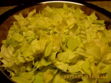 Jaroma goes to Austria and meets `Meat loaf` - Rezept - Bild Nr. 7