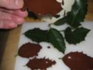 Schokoladenblätter Herstellung ganz einfach  TIPPS & TRIKS - Rezept