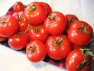 Tomaten - mal pikant gefüllt - Rezept