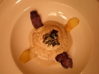 Pochiertes Ei auf Selleriepüree mit Trüffelrosette - Rezept