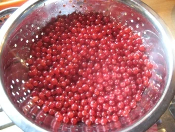 Rezept: Johannisbeer-Löffelkuchen Bild Nr. 2 Johannisbeer-Löffelkuchen - Rezept - Bild Nr. 2