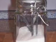 Vanille - Salz - Rezept