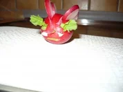 RATESPIEL....WAS......KANN DAS SEIN...?? - Rezept