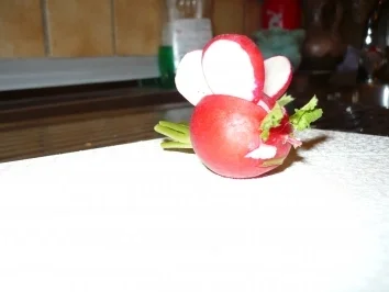 Rezept: RATESPIEL....WAS......KANN DAS SEIN...?? RATESPIEL....WAS......KANN DAS SEIN...?? - Rezept