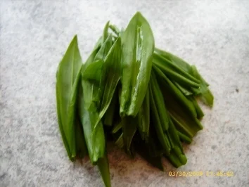 Rezept: Aufbewahrungstips - Bärlauch Aufbewahrungstips - Bärlauch - Rezept