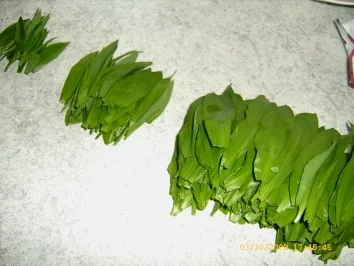 Rezept: Aufbewahrungstips - Bärlauch Bild Nr. 13 Aufbewahrungstips - Bärlauch - Rezept - Bild Nr. 13