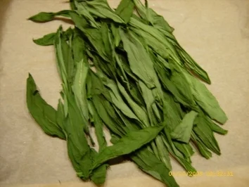 Rezept: Aufbewahrungstips - Bärlauch Bild Nr. 5 Aufbewahrungstips - Bärlauch - Rezept - Bild Nr. 5