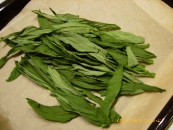 Rezept: Aufbewahrungstips - Bärlauch Bild Nr. 4 Aufbewahrungstips - Bärlauch - Rezept - Bild Nr. 4