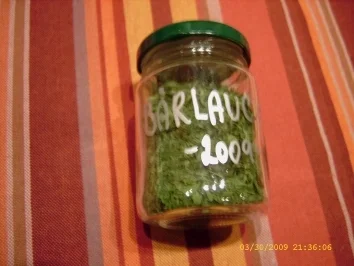 Rezept: Aufbewahrungstips - Bärlauch Bild Nr. 14 Aufbewahrungstips - Bärlauch - Rezept - Bild Nr. 14