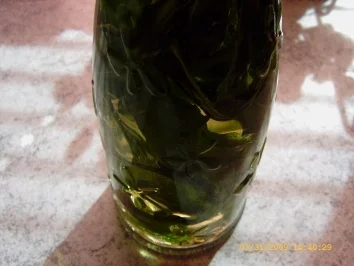 Rezept: Bärlauch - Öl Bild Nr. 4 Bärlauch - Öl - Rezept - Bild Nr. 4