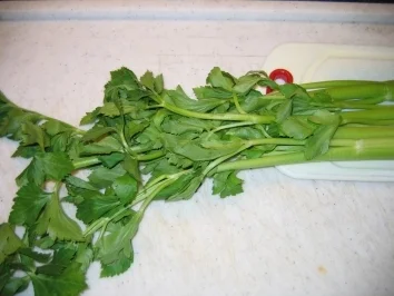 Rezept: Sedani al Forno(Gebackeckener Staudensellereie) Sedani al Forno(Gebackeckener Staudensellereie) - Rezept