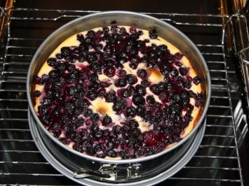 Rezept: Blaubeer-Schokokuchen mit Quarkguss Blaubeer-Schokokuchen mit Quarkguss - Rezept