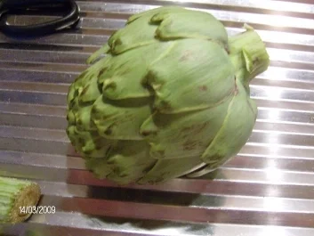 Artischockenblätter mit würzigem Dressing - Rezept - Bild Nr. 2