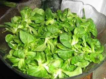 Rezept: Feldsalat mit Speck und Kracherle Bild Nr. 2 Feldsalat mit Speck und Kracherle - Rezept - Bild Nr. 2