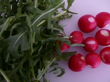 Rucola-Creme - Rezept - Bild Nr. 2