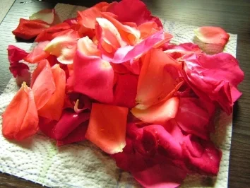 Rezept: Konfitüre & Co: Pfirsich mit Rosenblättern Bild Nr. 3 Konfitüre & Co: Pfirsich mit Rosenblättern - Rezept - Bild Nr. 3