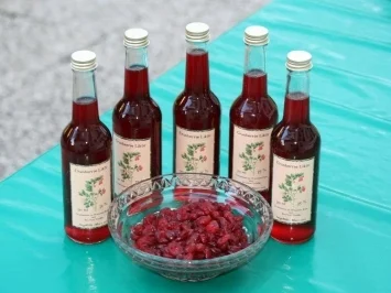 Cranberry Brot - Rezept - Bild Nr. 2