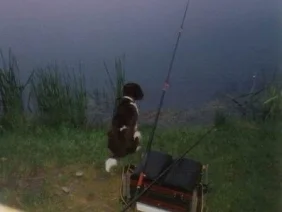 Rezept: Waldviertler Knoblauchkarpfen Waldviertler Knoblauchkarpfen - Rezept