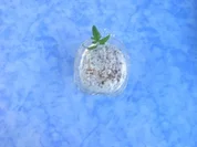 Apfelschnee mit Mandeln - Rezept