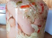 eingelegte Knacker - Rezept - Bild Nr. 6231