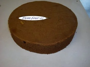 Dunkler-Wiener-Boden - Rezept