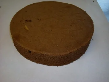 Dunkler-Wiener-Boden - Rezept - Bild Nr. 3