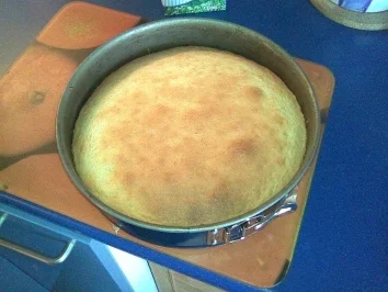 Turbo-Cremetorte - Rezept
