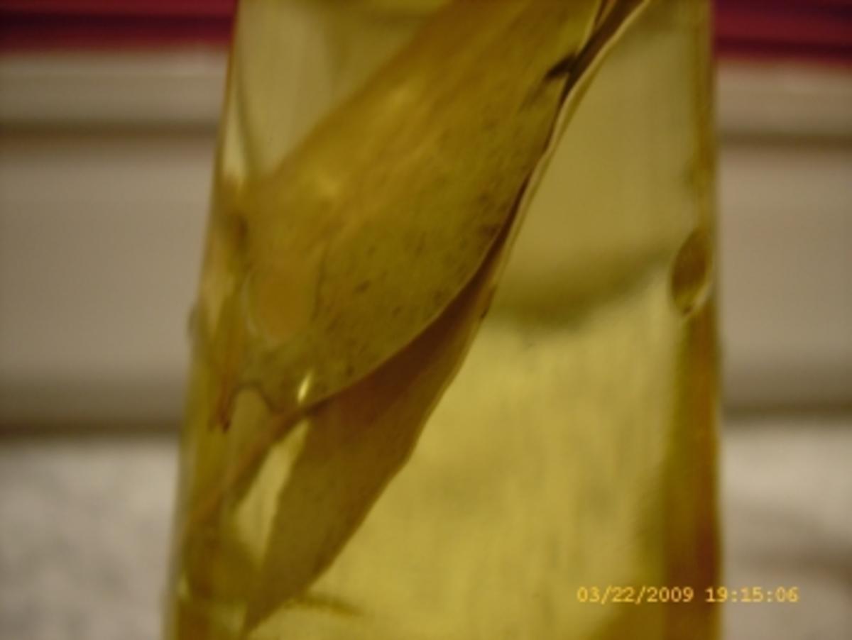 Chili - Öl , Pfeffer - Öl , Lorbeer - Zwiebel - Öl , Knoblauch - Öl - Rezept