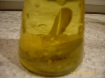 Chili - Öl , Pfeffer - Öl , Lorbeer - Zwiebel - Öl , Knoblauch - Öl - Rezept