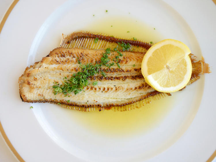 Seezunge Rezepte