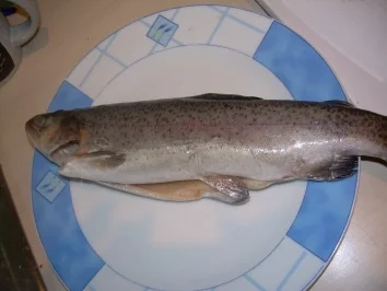 Rezept: Forelle im feurigen Gemüsebett... Forelle im feurigen Gemüsebett... - Rezept