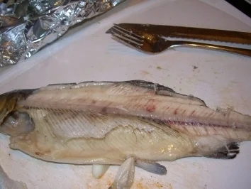 Rezept: Forelle im feurigen Gemüsebett... Forelle im feurigen Gemüsebett... - Rezept