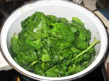 Rezept: Frischer Spinat in einer Gorgonzola Sauce auf Nudeln Frischer Spinat in einer Gorgonzola Sauce auf Nudeln - Rezept