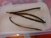 Rezept: Vanillezucker Vanillezucker - Rezept