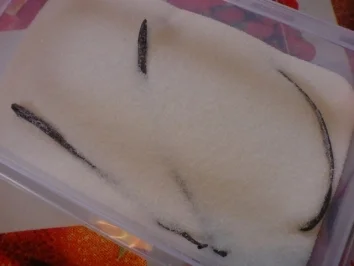 Vanillezucker - Rezept - Bild Nr. 5