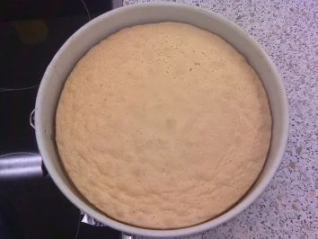 Heidelbeer-Sahne-Torte - Rezept