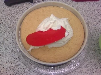 Heidelbeer-Sahne-Torte - Rezept