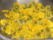 Rezept: Löwenzahnsirup Löwenzahnsirup - Rezept