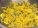 Löwenzahnsirup - Rezept